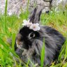 ゆうか profil fotoğrafı