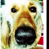 Saki perez's profile picture