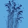 Фото профиля Cihan6262