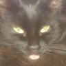 Dundermal Meteler aka: D profil fotoğrafı