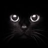 mustay's profile picture