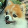 ろったん家 profil fotoğrafı