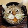 やまびこさん's profile picture