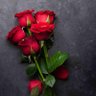 Фото профиля Xtiantus