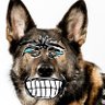 Profilbild von FilteredHusk