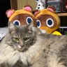 Profilbild von にゃんこぽん