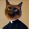 The Smugnorant Douché's profile picture