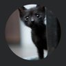 Dis profil fotoğrafı