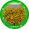 イーメイと申します's profile picture
