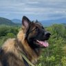 Фото профиля MEM