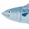 the fried fish's profile picture