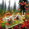 Profilbild von المشاري