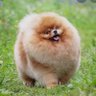 Profilbild von mally