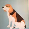 Patricia Williams's profile picture