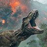 Rex ๐ต๐ธ's profile picture