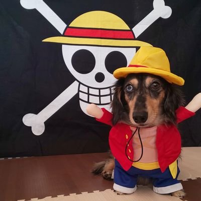 JackHolic🐶🤙💋's profile picture