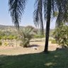 Phuthigadi profil fotoğrafı