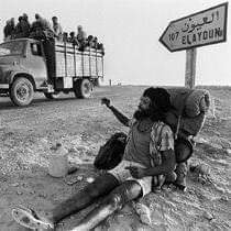 For Western Sahara's profile picture