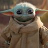 Profilbild von AL C