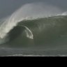 Piposurfer2's profile picture