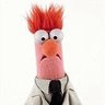 Odoq's profile picture