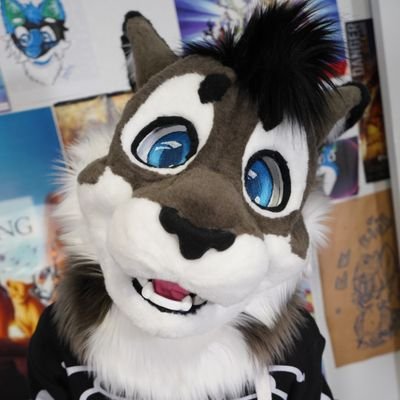 Gengi Cabbit's profile picture