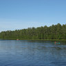 Profilbild von Pine Barrens