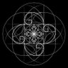 Fibonacci profil fotoğrafı