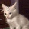 maro profil fotoğrafı