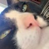 JG Went profil fotoğrafı