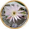 Фото профиля Maru de Kusanagi