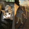きなこ&そら profil fotoğrafı