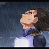 Фото профиля Bruce aka saiyan_in_training