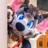 Aard~✨Aardwolf Essex profil fotoğrafı