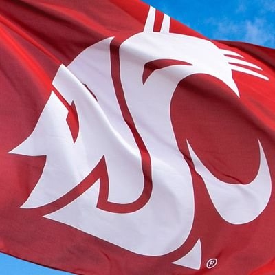 Cougwill's profile picture