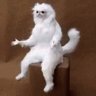 Dale Doback's profile picture