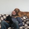 Gary Campbell🐾's profile picture