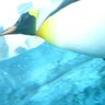 fumiko320 的头像
