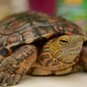Elinnombrable profil fotoğrafı