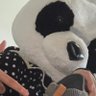 ひのふとし💉 💉 💉不動産垢ウォッチ？'s profile picture