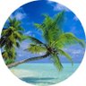 Monty Capuletti ☘️ 🏝🏖☀️ profil fotoğrafı