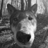 Алексей's profile picture