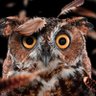 Vanne☀️ profil fotoğrafı