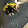 🧸じゅんまく🧸's profile picture