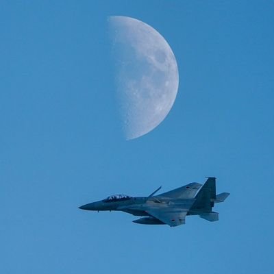 taka_neko_gt3's profile picture