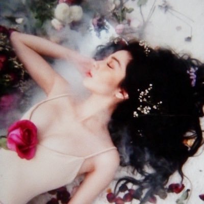 Donnalyn's profile picture