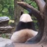 KAO profil fotoğrafı