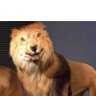 pepe_pecas🥔's profile picture