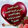 Profilbild von الصقر المهاجر