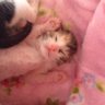 Profilbild von まるさんまぁるまる